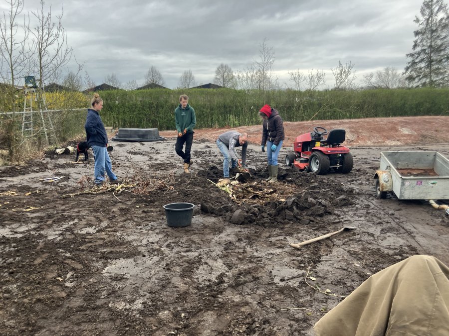 H&uuml;gelbed aanleggen en terugplanten pioniers